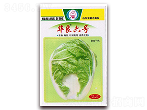 �A����̖(h��o)-��ײ˷N��-�A���N�I(y��)