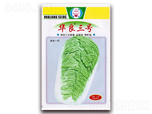 �A����̖(h��o)-��ײ˷N��-�A���N�I(y��)