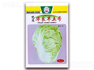 ��(y��u)�x�A������̖(h��o)-��ײ˷N��-�A���N�I(y��)