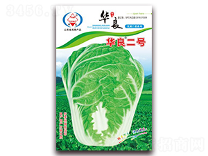 �A����̖(h��o)-��ײ˷N��-�A���N�I(y��)