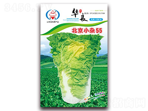 ����С�s55-��ײ˷N��-�A���N�I(y��)