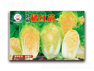 �ټt��-��ײ˷N��-�A���N�I(y��)