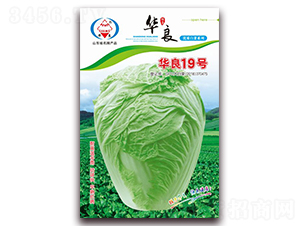 �A��19̖(h��o)-��ײ˷N��-�A���N�I(y��)