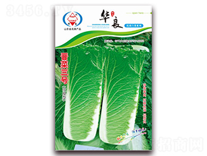 �x����̖-��ײ˷N��-�A���N�I(y��)