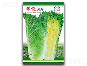 �A��318-��ײ˷N��-�A���N�I(y��)