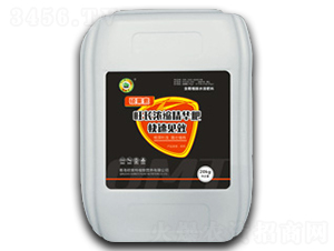 ���L��s���A��-�T����-�W����