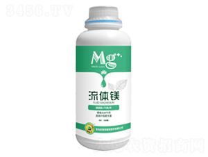 ���w�V-�W����