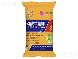 ��������-���_(d��)�r(n��ng)��