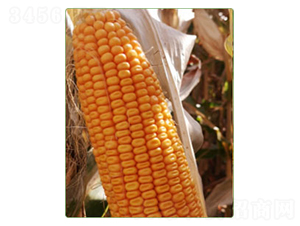 �A��829-���׷N��-�A���N�I(y��)