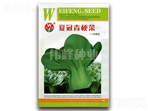 �Ĺ��๣��-�๣�˷N��-����N�I(y��)