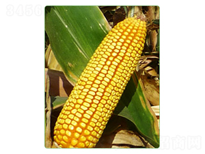 ����M753-���׷N��-�A���N�I(y��)