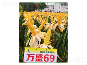 �f(w��n)ʢ69-���׷N��-�A���N�I(y��)