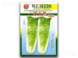 һ������t�ײ�-�ײ˷N��-����N�I(y��)