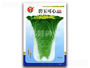 �������60-�ײ˷N��-����N�I(y��)