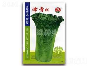 ����60-�ײ˷N��-����N�I(y��)