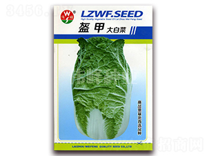 ���״�ײ�-�ײ˷N��-����N�I(y��)