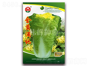 ���S�M��-�ײ˷N��-����N�I(y��)