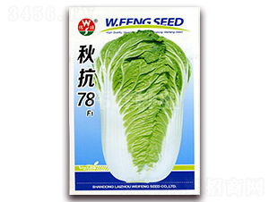 �￹78F1-�ײ˷N��-����N�I(y��)