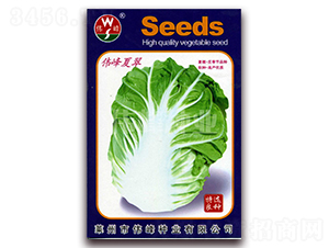 �����Ĵ�-�ײ˷N��-����N�I(y��)