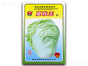 ������F1-�ײ˷N��-����N�I(y��)