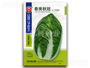 �������-�ײ˷N��-����N�I(y��)