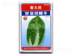 ����-�ײ˷N��-����N�I(y��)