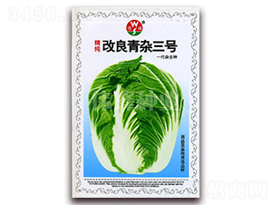 �����������s��̖(h��o)-�ײ˷N��-����N�I(y��)