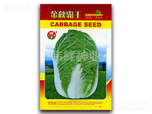 �������-�ײ˷N��-����N�I(y��)