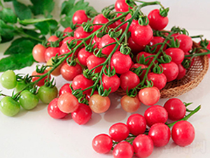 DLR-��������-���ѷN��-������