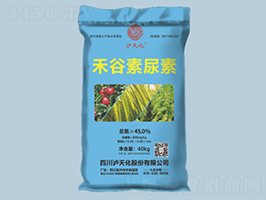 �̹�������-�o�컯-�r֮��