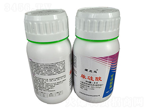 �ι���-Դ���_(d��)-�d¡����