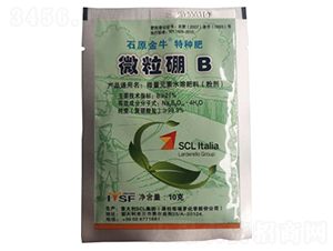 ΢����-�r֮��