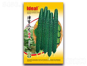 ������̖-�S�ϷN��-�����r(n��ng)�I(y��)