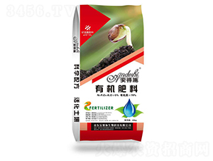 �ЙC(j��)����-����ʩ����