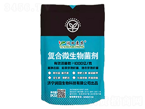 �ͺ�΢�������-������r-��������