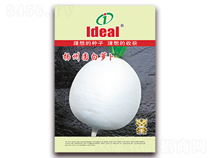 �P�݈A���}��-�}���N��-�����r(n��ng)�I(y��)