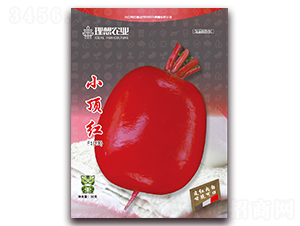 С피t-�}���N��-�����r(n��ng)�I(y��)