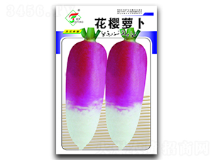 �����}��-�}���N��-���r(n��ng)