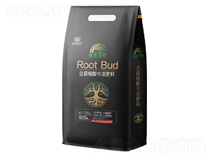 1200g����ֲ��ˮ�ܷ���-����ѿ��-�n�����r(n��ng)