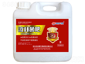 Һ�w����-�����r(n��ng)�I(y��)