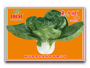 �����Ȱ��_�S-С�ײ˷N��-�����r(n��ng)�I(y��)