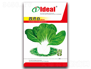 ���°�-С�ײ˷N��-�����r(n��ng)�I(y��)