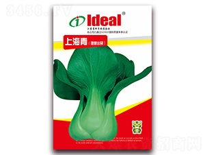 �Ϻ���-С�ײ˷N��-�����r(n��ng)�I(y��)