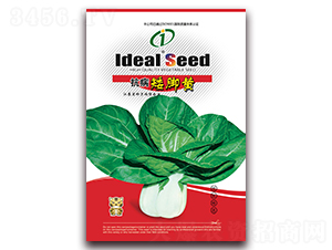 �������_�S-С�ײ˷N��-�����r(n��ng)�I(y��)