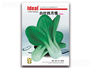 ���~������-С�ײ˷N��-�����r(n��ng)�I(y��)