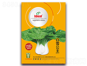 ��ѩ����-С�ײ˷N��-�����r(n��ng)�I(y��)