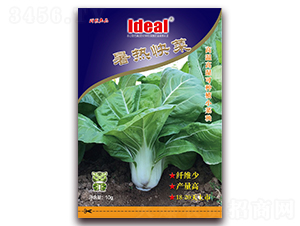 �����-С�ײ˷N��-�����r(n��ng)�I(y��)