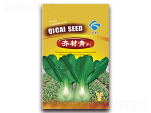 �R����-С�ײ˷N��-�����r(n��ng)�I(y��)