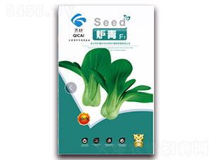 �t��-С�ײ˷N��-�����r(n��ng)�I(y��)