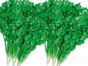 �ļ������-��˷N��-���߷N��